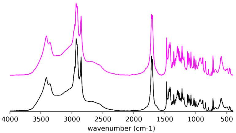 https://cdn.ncbi.nlm.nih.gov/pmc/blobs/9929/7662707/d0ad47c4d178/ijms-21-08124-g004.jpg