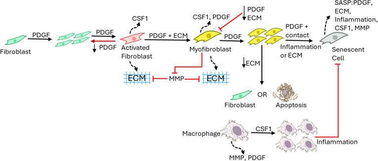 https://cdn.ncbi.nlm.nih.gov/pmc/blobs/992a/12052216/c6e6dd248071/pcbi.1012298.g001.jpg