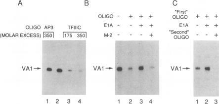 https://cdn.ncbi.nlm.nih.gov/pmc/blobs/992b/249009/7cd1e618fc8b/jvirol00053-0184-b.jpg