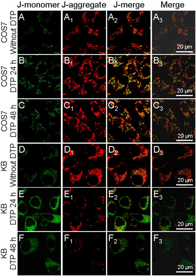 https://cdn.ncbi.nlm.nih.gov/pmc/blobs/992b/3863817/0612d2751ea3/srep03468-f4.jpg