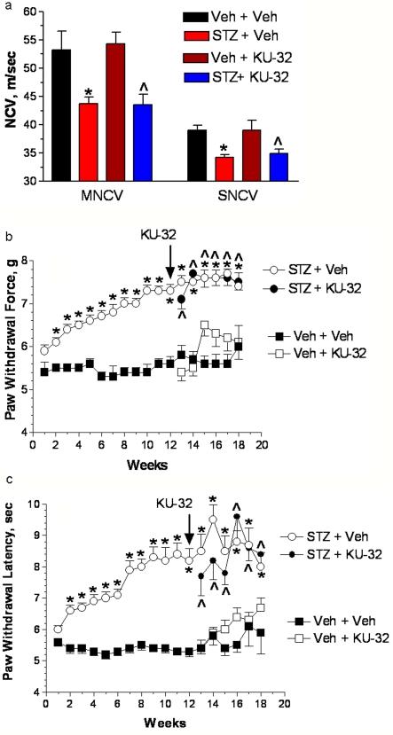 https://cdn.ncbi.nlm.nih.gov/pmc/blobs/992d/2919983/b8b43cc31322/an002e040f06.jpg