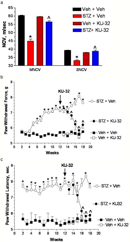 https://cdn.ncbi.nlm.nih.gov/pmc/blobs/992d/2919983/d839b7030ea1/an002e040f05.jpg