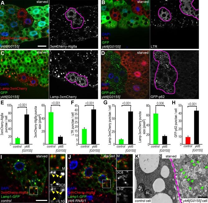 https://cdn.ncbi.nlm.nih.gov/pmc/blobs/992d/5937789/0e799088c8e2/pgen.1007359.g001.jpg