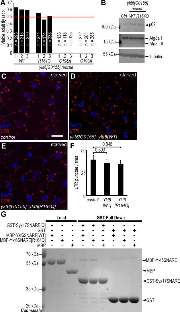 https://cdn.ncbi.nlm.nih.gov/pmc/blobs/992d/5937789/f6f9cc33dca0/pgen.1007359.g005.jpg