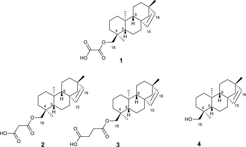 https://cdn.ncbi.nlm.nih.gov/pmc/blobs/992d/8009527/499b03522ebf/jo0c01459_0002.jpg
