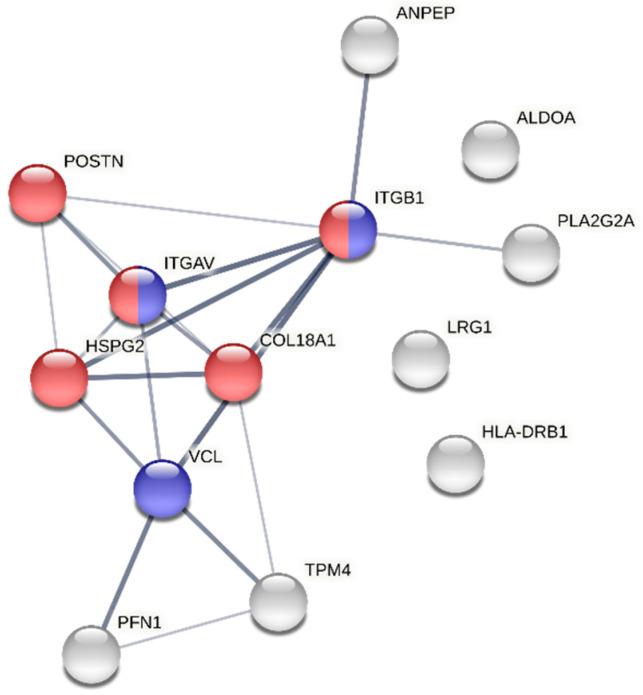 https://cdn.ncbi.nlm.nih.gov/pmc/blobs/992e/9505568/e1d94da501a1/proteomes-10-00030-g008.jpg