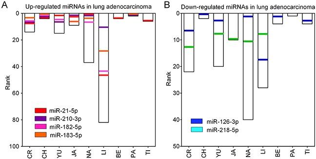 https://cdn.ncbi.nlm.nih.gov/pmc/blobs/9934/5609990/2fa97edaecdc/oncotarget-08-64143-g003.jpg