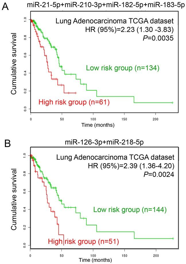https://cdn.ncbi.nlm.nih.gov/pmc/blobs/9934/5609990/e11cf8669d43/oncotarget-08-64143-g007.jpg