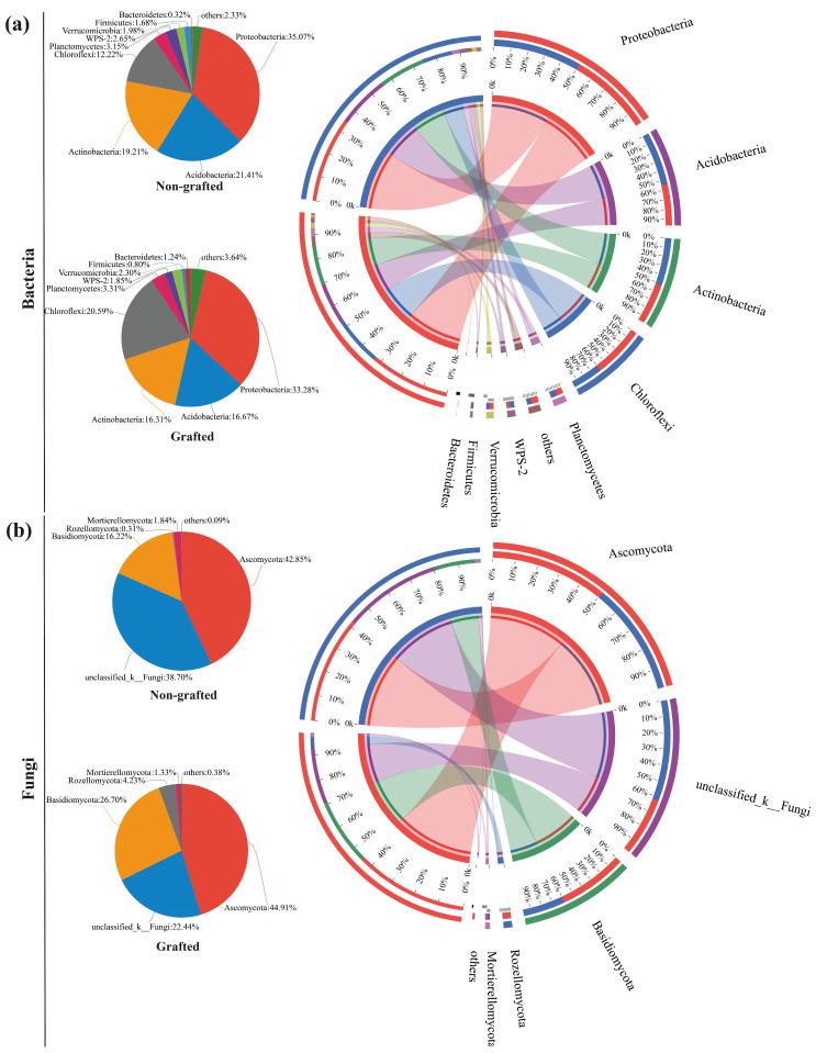 https://cdn.ncbi.nlm.nih.gov/pmc/blobs/9938/10971942/94f7d8bb43c6/microorganisms-12-00431-g002.jpg