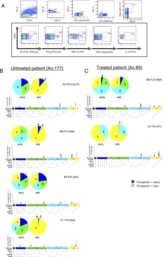 https://cdn.ncbi.nlm.nih.gov/pmc/blobs/9938/2689663/9092d1211da0/pmed.0050100.g001.jpg