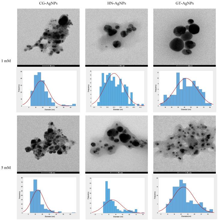 https://cdn.ncbi.nlm.nih.gov/pmc/blobs/993a/11643465/06e94302a802/nanomaterials-14-01954-g005.jpg