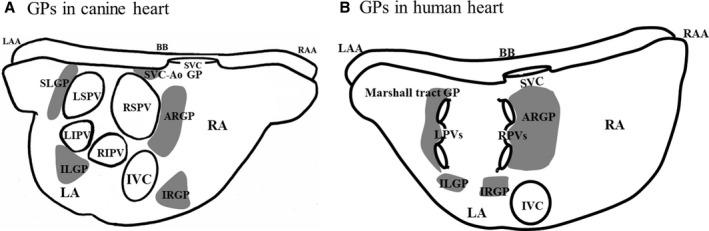 https://cdn.ncbi.nlm.nih.gov/pmc/blobs/993a/6585332/5952bb4d3a09/JAH3-8-e011401-g001.jpg