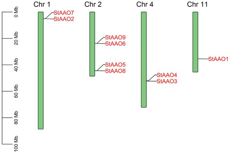 https://cdn.ncbi.nlm.nih.gov/pmc/blobs/993c/10674669/57d0f265d1dd/plants-12-03809-g003.jpg