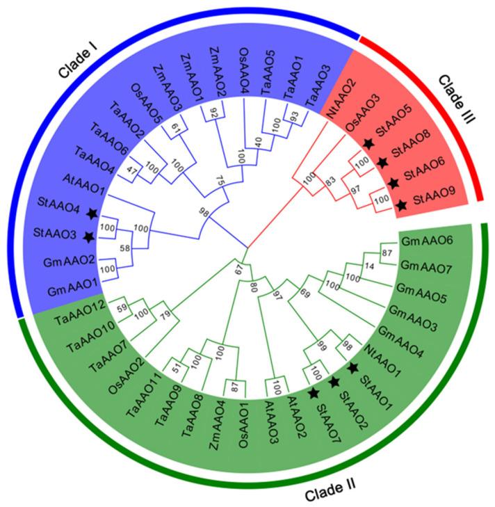 https://cdn.ncbi.nlm.nih.gov/pmc/blobs/993c/10674669/bccc3dfa3c9f/plants-12-03809-g002.jpg