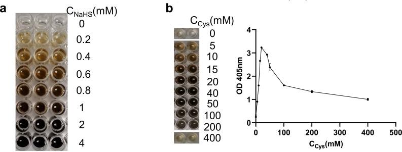 https://cdn.ncbi.nlm.nih.gov/pmc/blobs/993e/10714730/72fb247d8905/spectrum.02292-23.f001.jpg