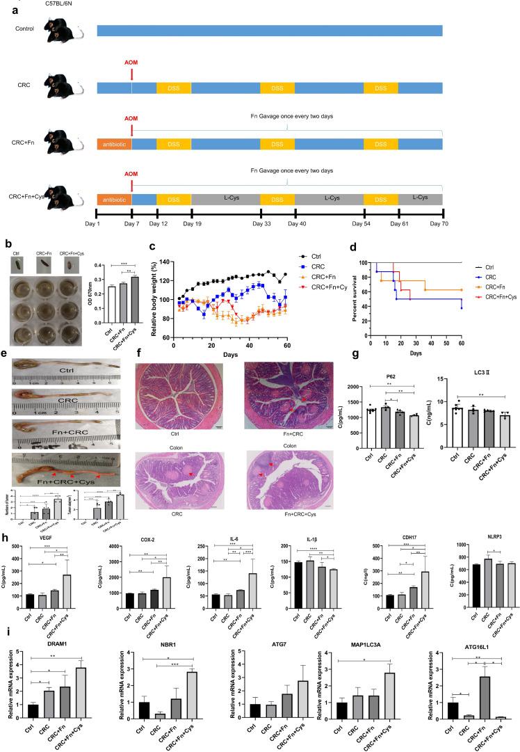 https://cdn.ncbi.nlm.nih.gov/pmc/blobs/993e/10714730/b4549811dcc9/spectrum.02292-23.f005.jpg