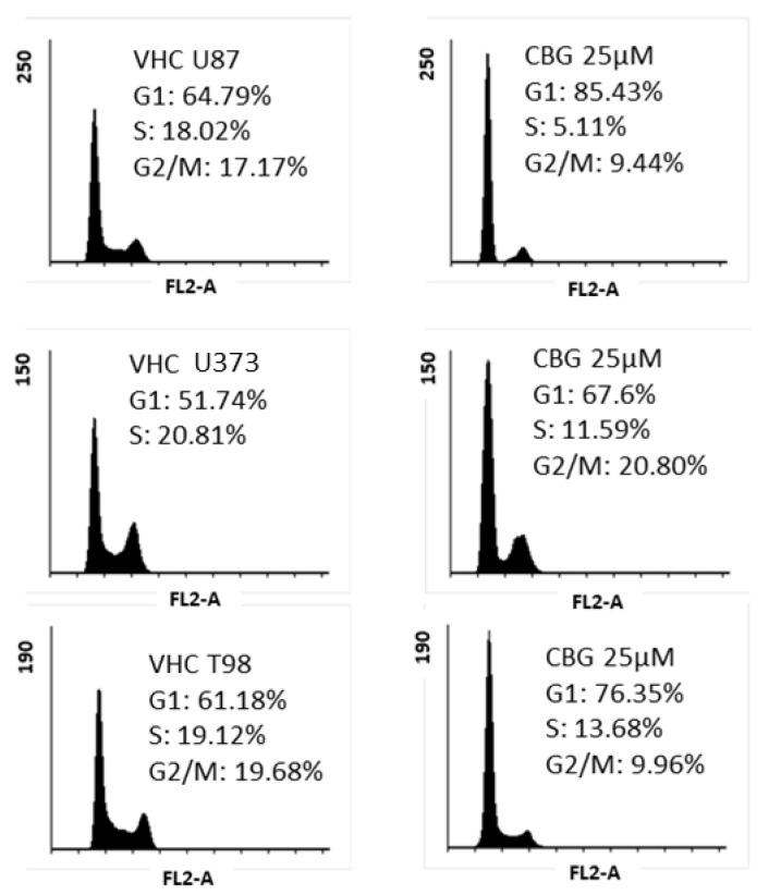 https://cdn.ncbi.nlm.nih.gov/pmc/blobs/993e/7914500/98f7d0890f4a/cells-10-00340-g002.jpg