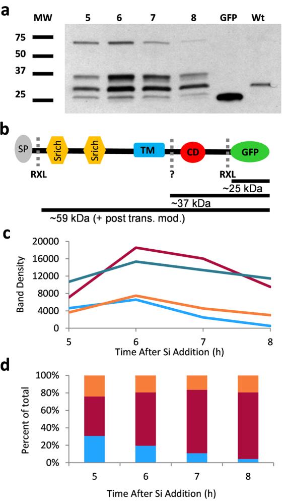 https://cdn.ncbi.nlm.nih.gov/pmc/blobs/993f/5647440/470caa9a8b6c/41598_2017_13613_Fig6_HTML.jpg
