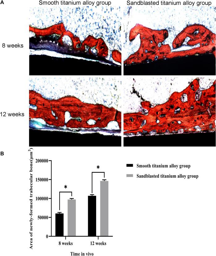 https://cdn.ncbi.nlm.nih.gov/pmc/blobs/9940/10475539/16389f74b816/fbioe-11-1251947-g012.jpg