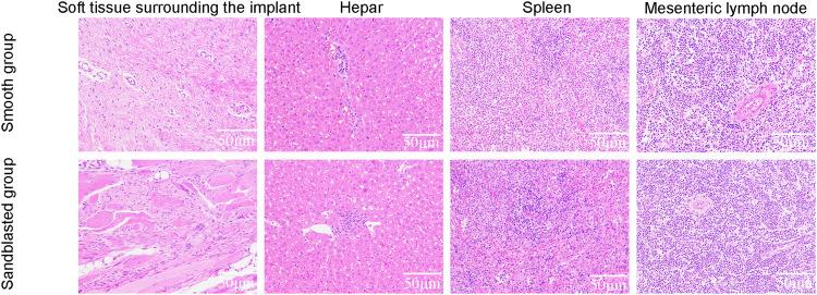 https://cdn.ncbi.nlm.nih.gov/pmc/blobs/9940/10475539/23f7c44b86c3/fbioe-11-1251947-g010.jpg