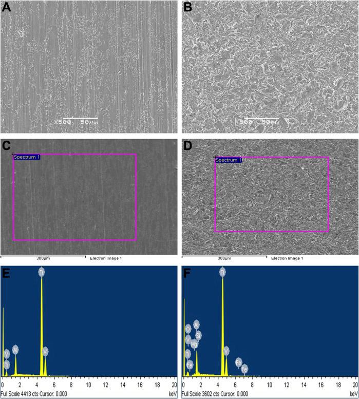 https://cdn.ncbi.nlm.nih.gov/pmc/blobs/9940/10475539/743c4cab334b/fbioe-11-1251947-g002.jpg