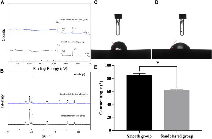https://cdn.ncbi.nlm.nih.gov/pmc/blobs/9940/10475539/8d3381cd7115/fbioe-11-1251947-g004.jpg