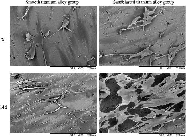 https://cdn.ncbi.nlm.nih.gov/pmc/blobs/9940/10475539/ef56f43bfe0e/fbioe-11-1251947-g008.jpg