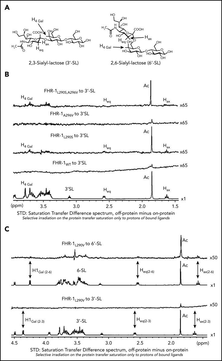 https://cdn.ncbi.nlm.nih.gov/pmc/blobs/9940/8288665/adbcf8c38b3a/bloodBLD2020010069f5.jpg