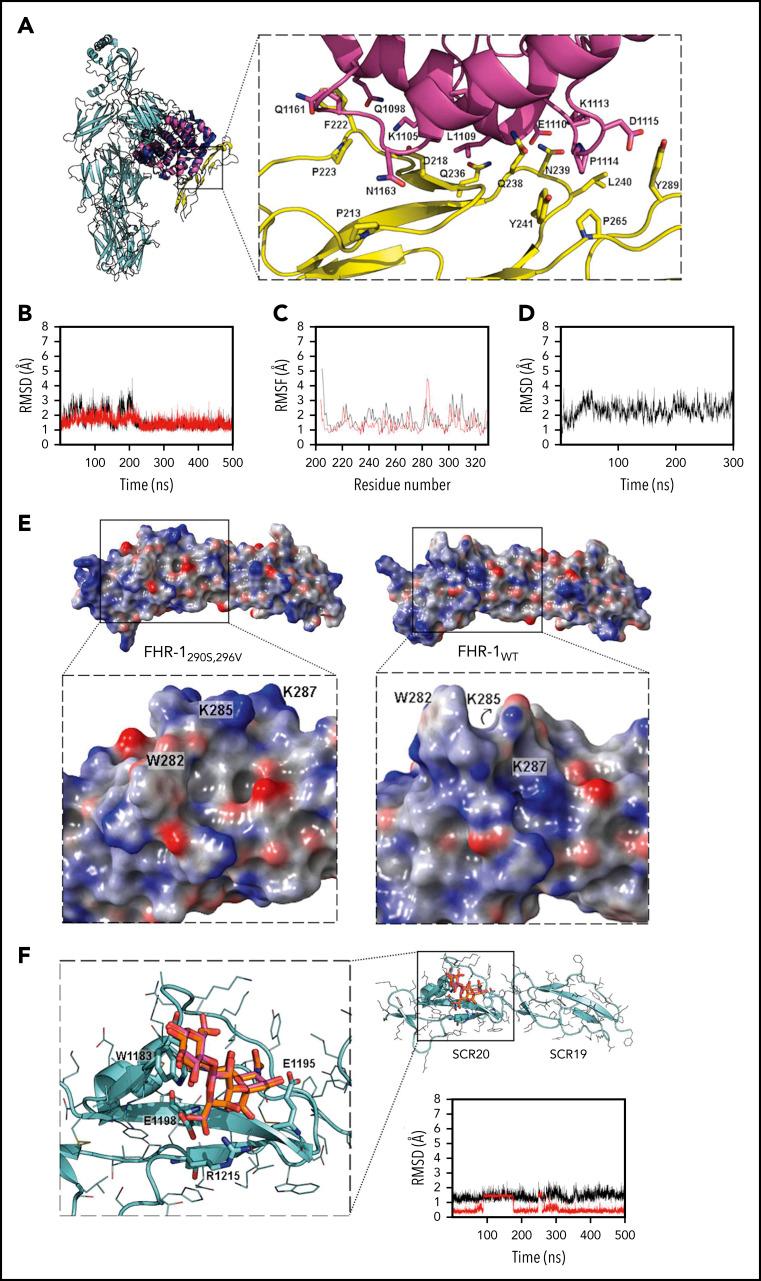 https://cdn.ncbi.nlm.nih.gov/pmc/blobs/9940/8288665/d1716638de73/bloodBLD2020010069f2.jpg