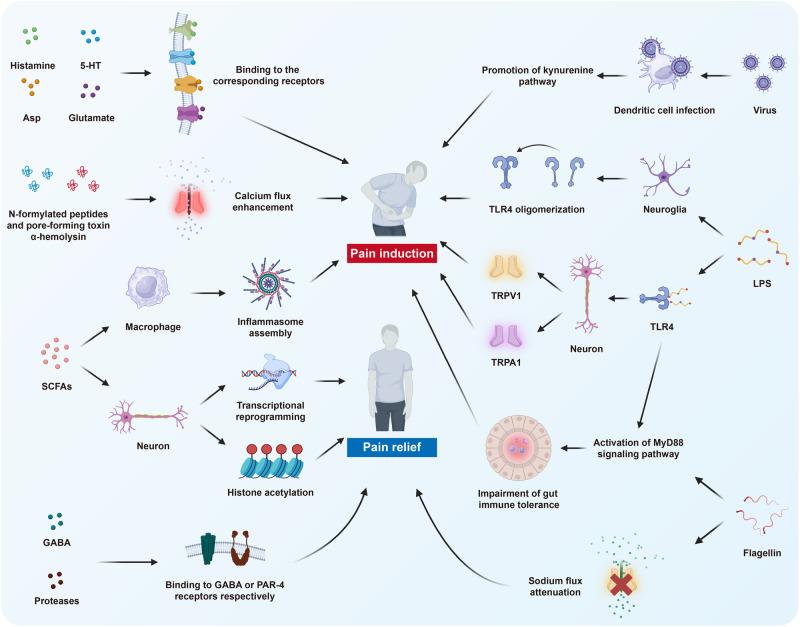 https://cdn.ncbi.nlm.nih.gov/pmc/blobs/9941/11162504/6194a10c4f92/41392_2024_1845_Fig7_HTML.jpg