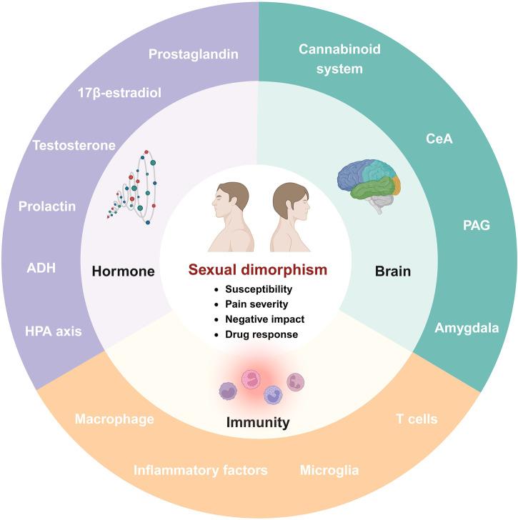 https://cdn.ncbi.nlm.nih.gov/pmc/blobs/9941/11162504/a4af9a2be87d/41392_2024_1845_Fig8_HTML.jpg