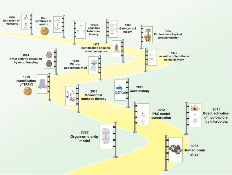 https://cdn.ncbi.nlm.nih.gov/pmc/blobs/9941/11162504/a8689b701ae1/41392_2024_1845_Fig1_HTML.jpg