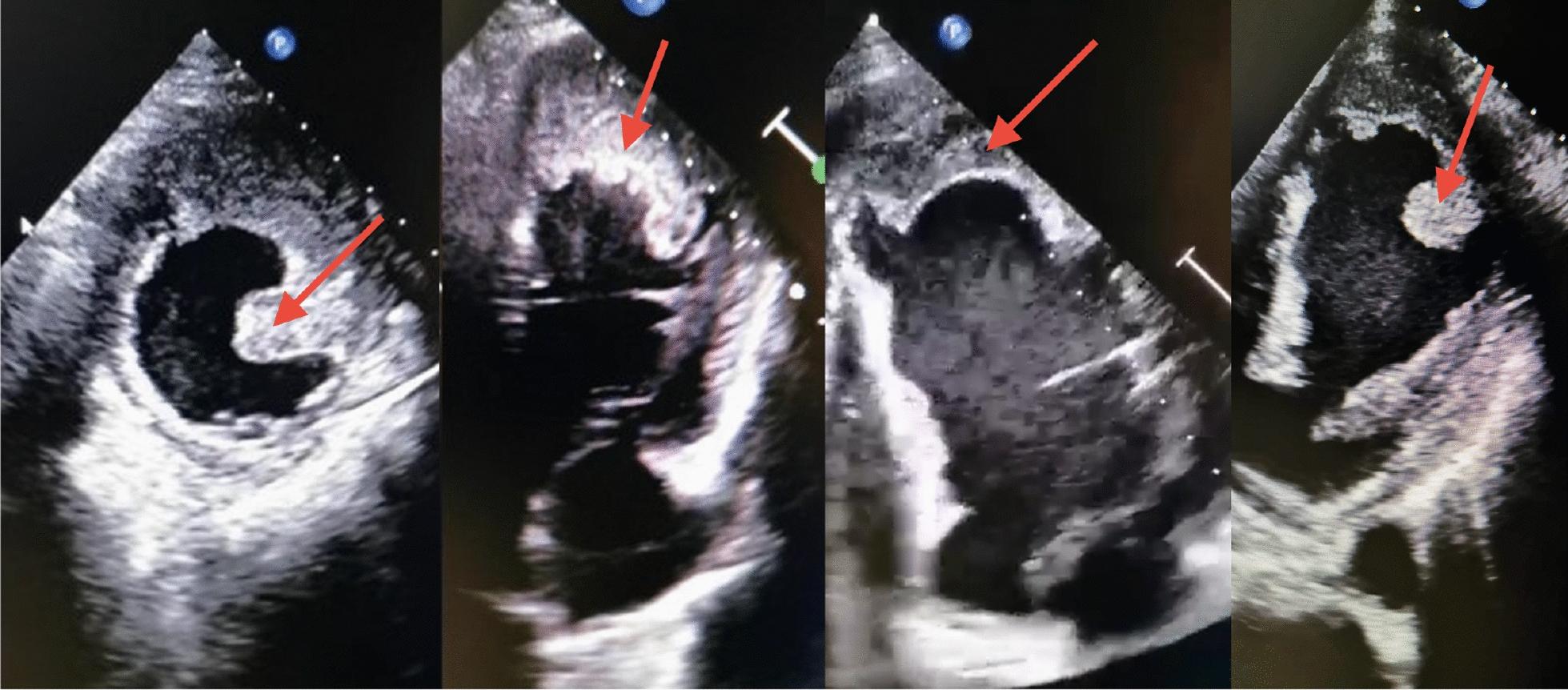 https://cdn.ncbi.nlm.nih.gov/pmc/blobs/9941/12007224/6529830561e9/13256_2025_5195_Fig8_HTML.jpg