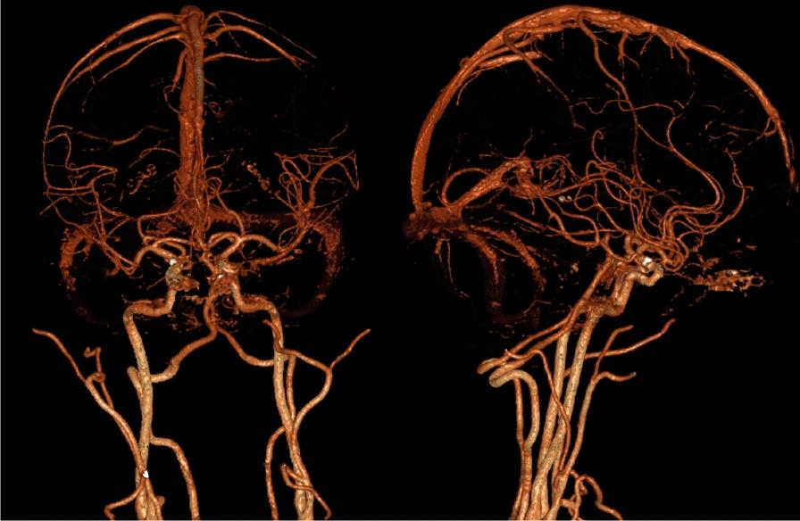 https://cdn.ncbi.nlm.nih.gov/pmc/blobs/9941/12007224/893ec3ae94e4/13256_2025_5195_Fig4_HTML.jpg