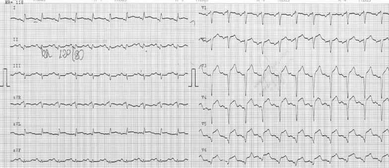 https://cdn.ncbi.nlm.nih.gov/pmc/blobs/9941/12007224/ee83d82e6792/13256_2025_5195_Fig1_HTML.jpg