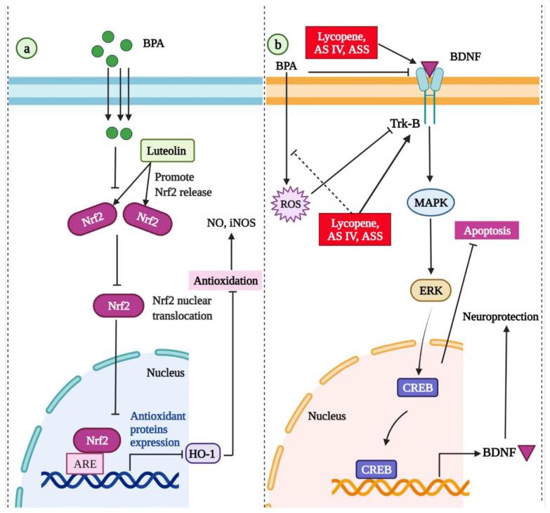 https://cdn.ncbi.nlm.nih.gov/pmc/blobs/9942/9457803/b44a7dad34b9/molecules-27-05384-g003.jpg