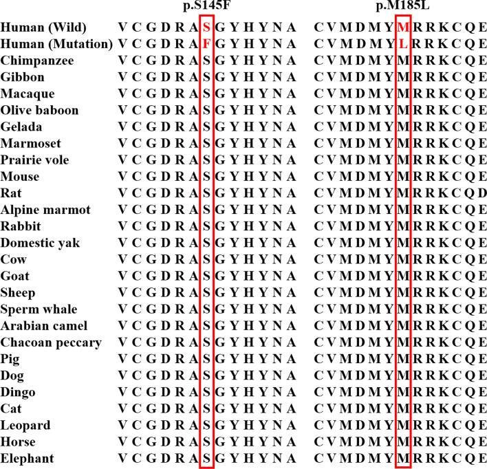 https://cdn.ncbi.nlm.nih.gov/pmc/blobs/9943/9017038/261fa4b39226/12920_2022_1240_Fig2_HTML.jpg