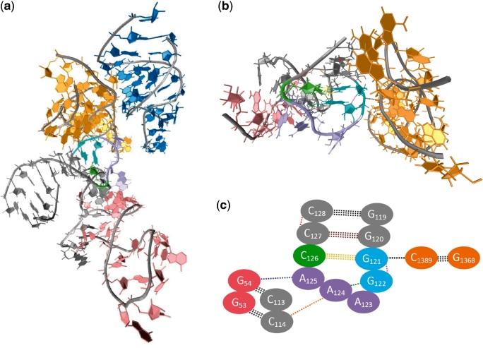 https://cdn.ncbi.nlm.nih.gov/pmc/blobs/9944/2919701/231a4741b252/gkq134f8.jpg
