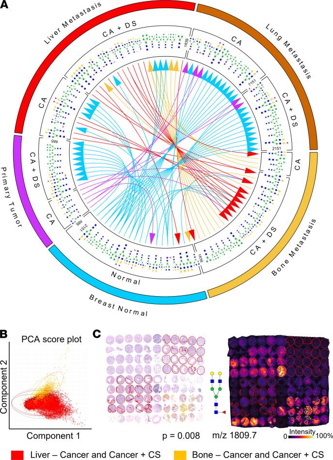 https://cdn.ncbi.nlm.nih.gov/pmc/blobs/9945/8783675/ab847b502a30/jciinsight-6-146945-g167.jpg