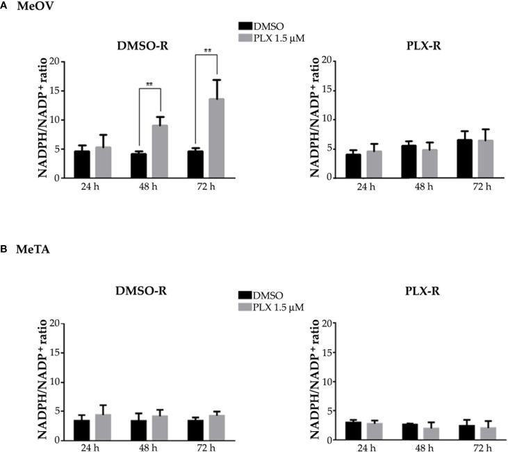 https://cdn.ncbi.nlm.nih.gov/pmc/blobs/9946/10391174/0df4de5fdacd/fonc-13-1210130-g011.jpg