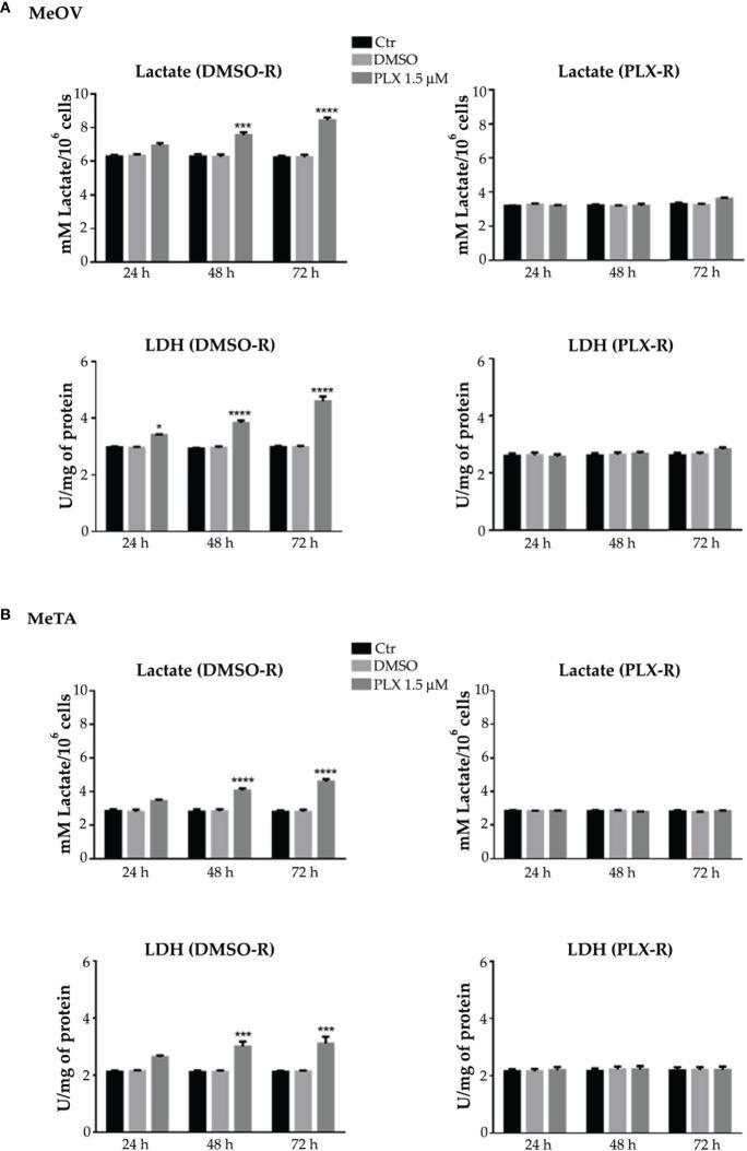 https://cdn.ncbi.nlm.nih.gov/pmc/blobs/9946/10391174/59dfeb5a695f/fonc-13-1210130-g006.jpg