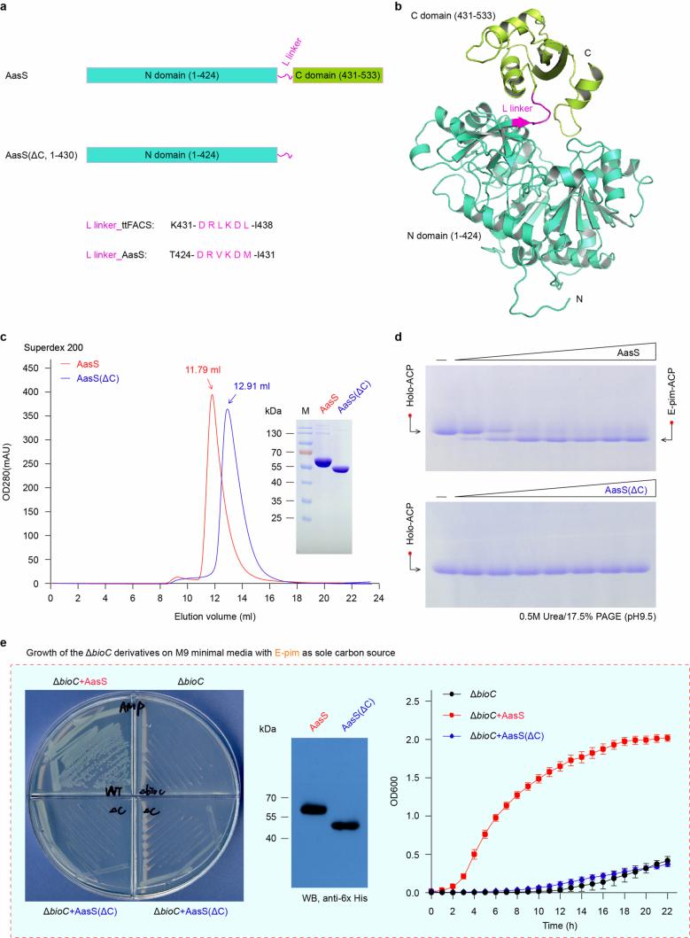 https://cdn.ncbi.nlm.nih.gov/pmc/blobs/9947/12086093/5d6265e91f65/41594_2024_1464_Fig16_ESM.jpg
