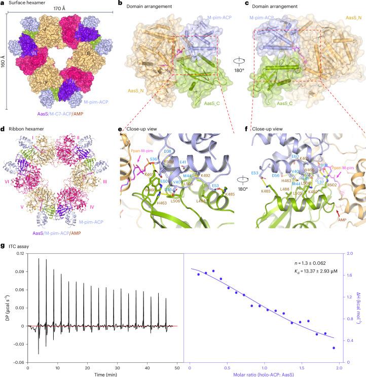 https://cdn.ncbi.nlm.nih.gov/pmc/blobs/9947/12086093/7f64db2459de/41594_2024_1464_Fig5_HTML.jpg
