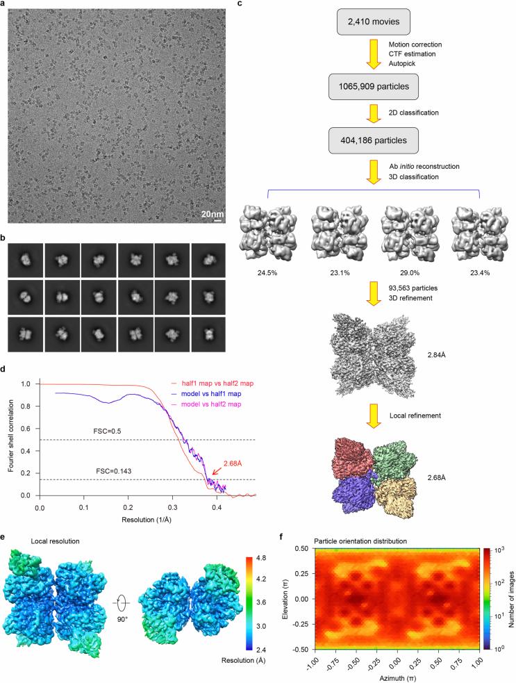 https://cdn.ncbi.nlm.nih.gov/pmc/blobs/9947/12086093/c4042d5db332/41594_2024_1464_Fig10_ESM.jpg