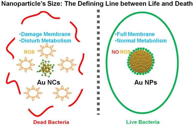 https://cdn.ncbi.nlm.nih.gov/pmc/blobs/9947/6627976/5f9996fdb8a1/ijms-20-02924-g001.jpg