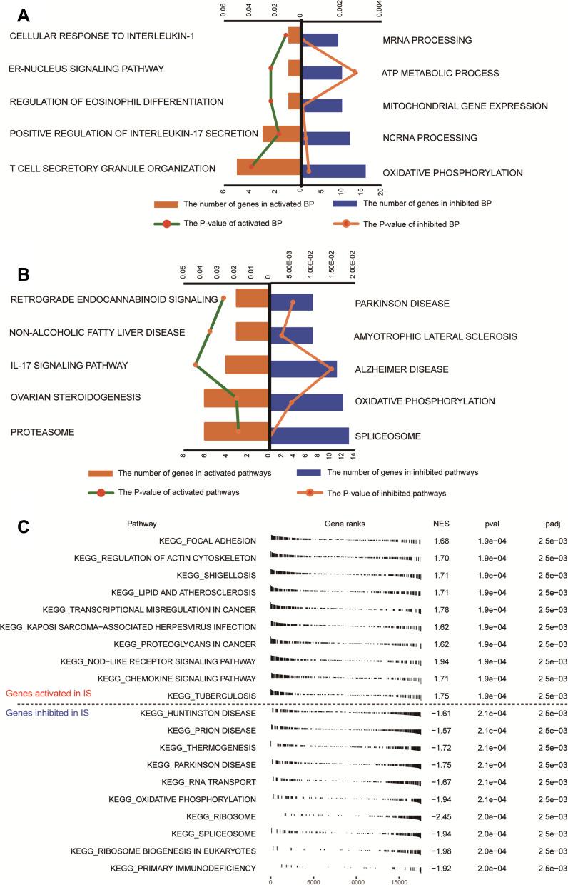 https://cdn.ncbi.nlm.nih.gov/pmc/blobs/9947/8390889/919dae0754a1/IJGM-14-4731-g0004.jpg