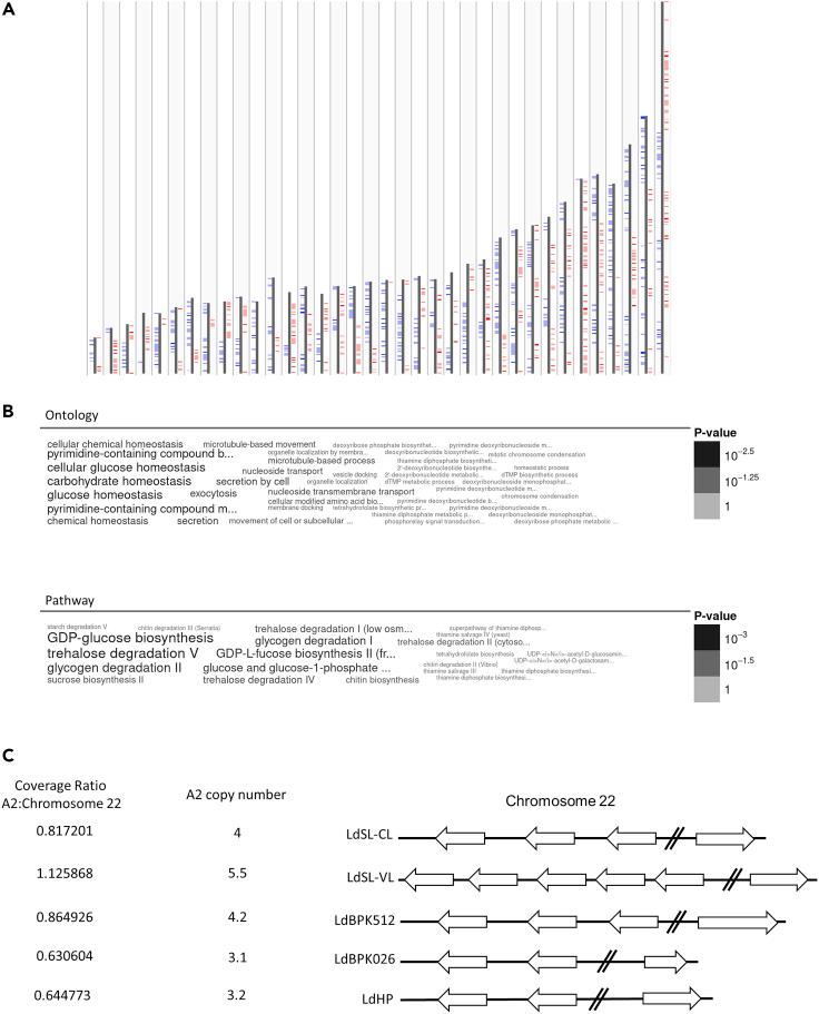 https://cdn.ncbi.nlm.nih.gov/pmc/blobs/9948/8841885/cc32f5b7cc50/gr4.jpg
