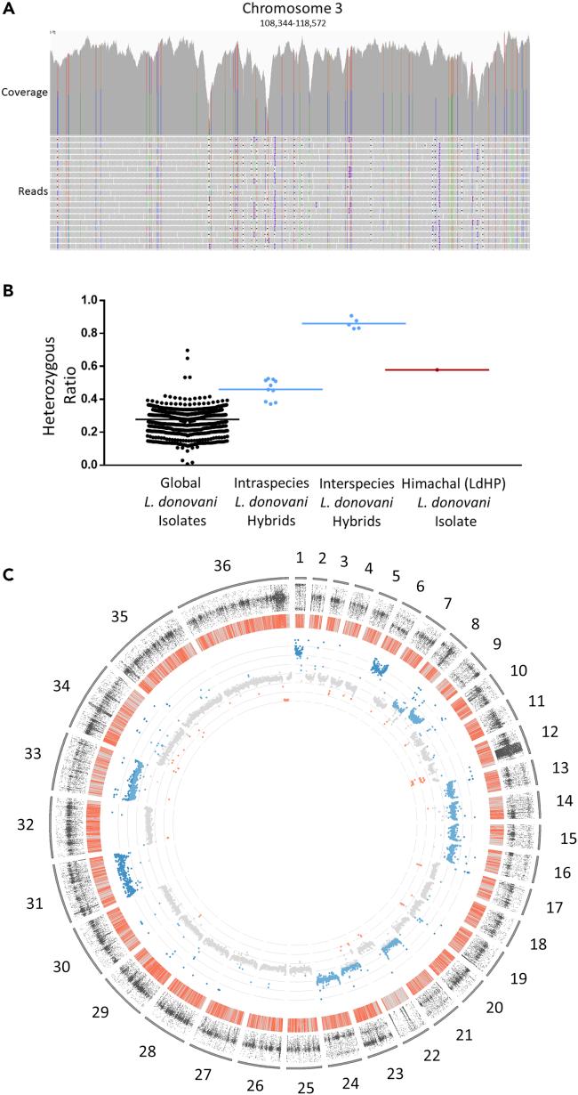 https://cdn.ncbi.nlm.nih.gov/pmc/blobs/9948/8841885/ef127bf4c32d/gr2.jpg