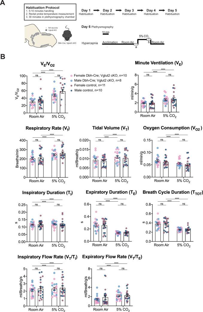 https://cdn.ncbi.nlm.nih.gov/pmc/blobs/994a/11407767/834d6d13a367/elife-88673-fig4.jpg