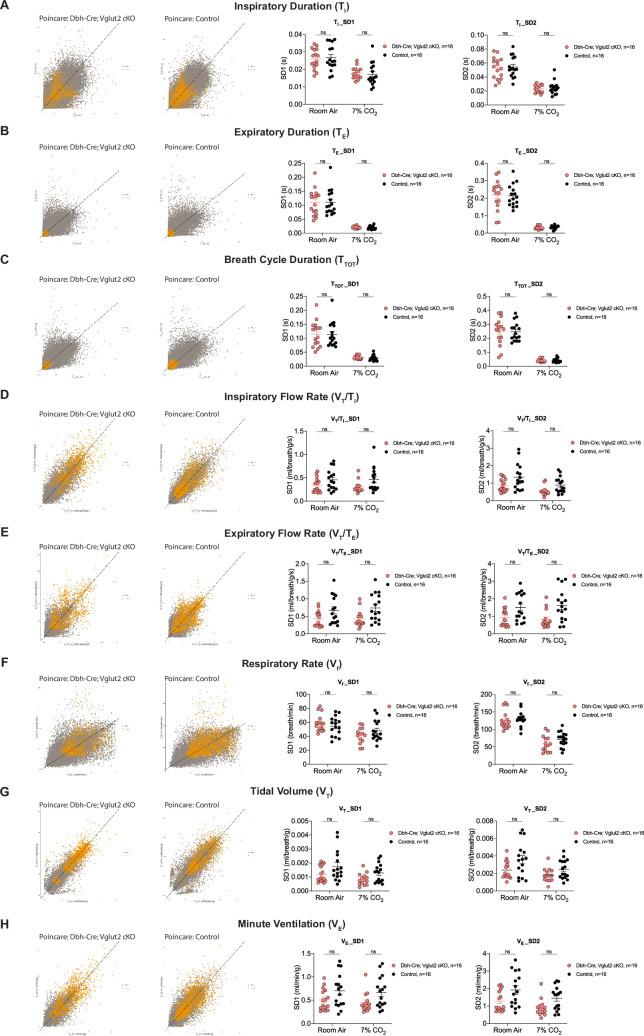 https://cdn.ncbi.nlm.nih.gov/pmc/blobs/994a/11407767/dbf5e794a36a/elife-88673-fig5-figsupp1.jpg